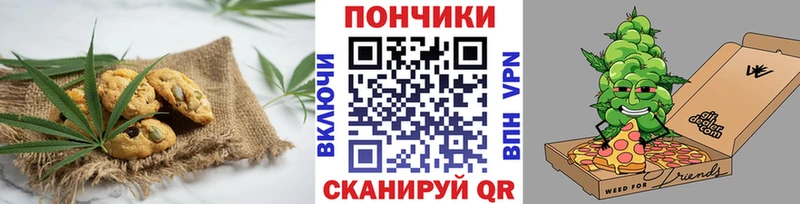 Купить  Анива  Canna-Cookies конопля 