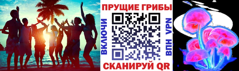 Купить  Анива  Галлюциногенные грибы прущие грибы 