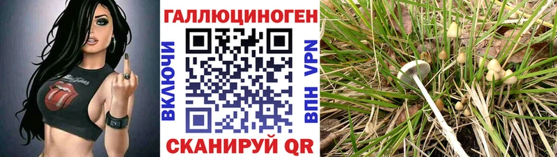 Галлюциногенные грибы мухоморы Анива